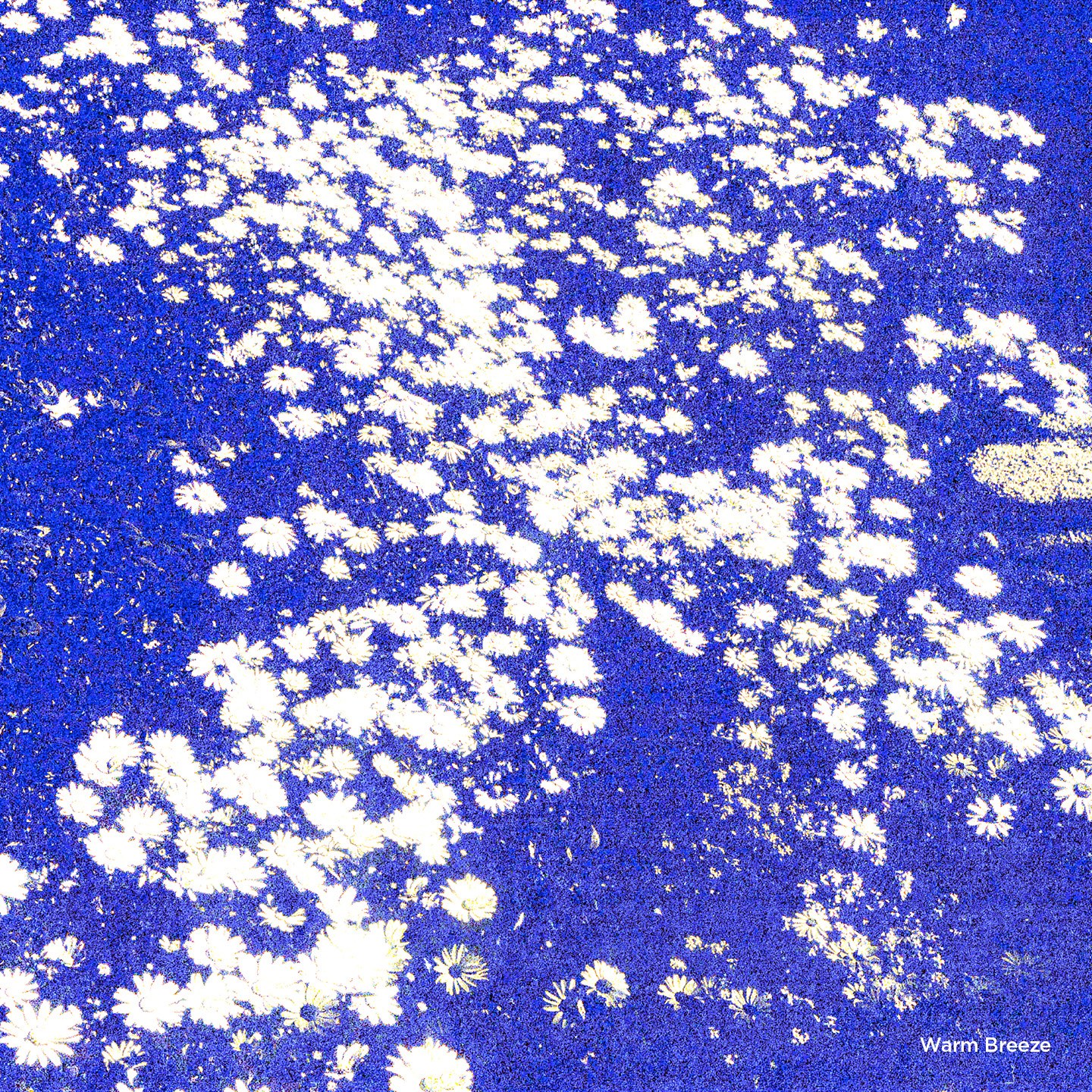 A selection of tunes to welcome the new season, bringing a calm mood and a touch of warmth. Soft rhythms, light melodies and easy moments to slow down, open the windows and let the day unfold at its own pace 💙 Link in bio!