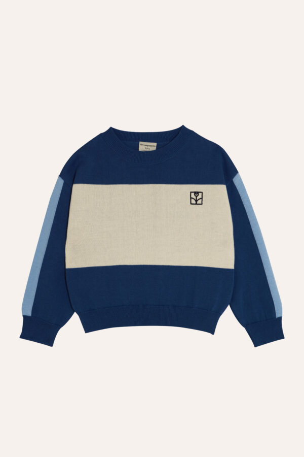 Blue Color Block Kids Sweater