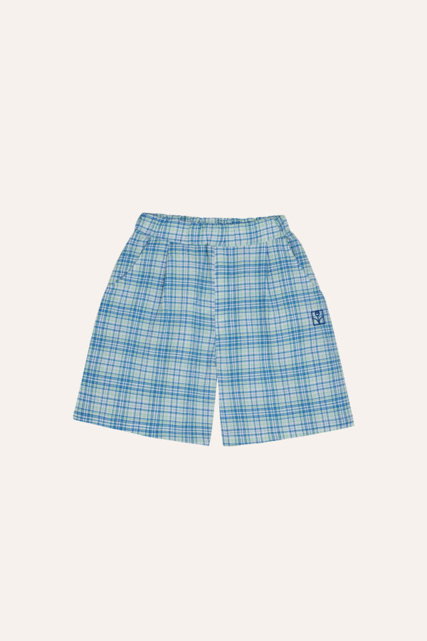 Blue Checked Kids Shorts